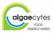 algeacytes logo